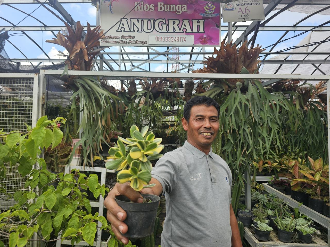 Dapat Binaan BRI, Klaster Usaha Tanaman Hias Sukses Jadi Mata Pencaharian Warga  