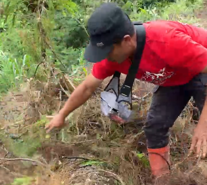 Video Relawan Temukan Kayu Gelondongan di Brebes Viral