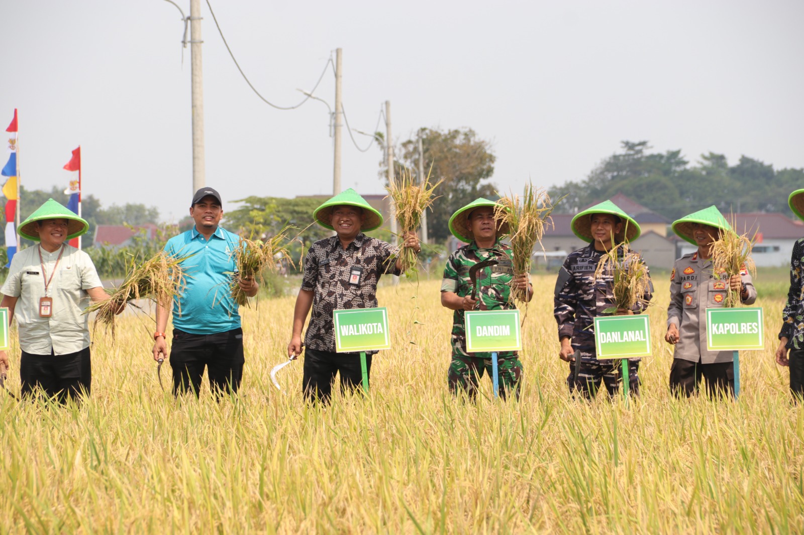 Dukung Asta Cita, Pemkot Tegal Panen Demplot Padi Organik