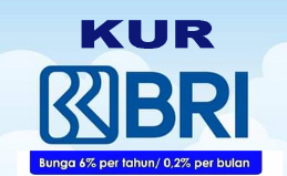 Pahami Jenis dan Syarat Wajib Lolos KUR BRI 2023, Kesempatan Pinjaman Untuk Mengembangkan Usaha Ada Disini