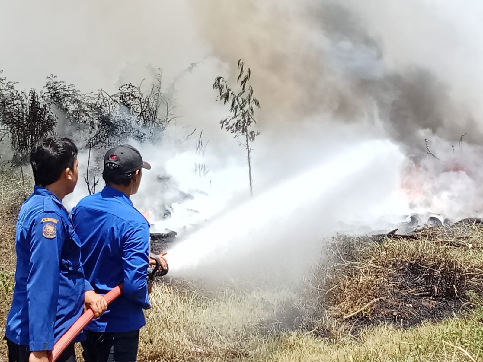 Kebakaran di Kabupaten Tegal Capai 130 Kasus, Terjadi Mulai dari Januari-Oktober 2024 