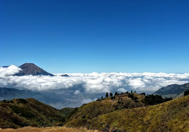 7 Bukit Hijau di Jawa Tengah yang Mirip Hobbiton New Zealand, Serasa Masuk Dunia Dongeng