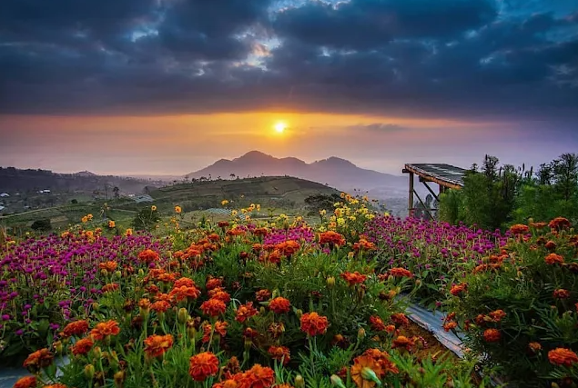 Bikin Cepat FYP, Ini 5 Tempat Liburan Murah di Magelang yang Bikin Feed Instagram Auto Estetik