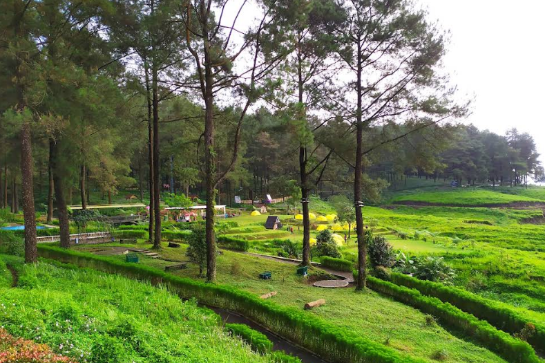 Liburan Murah di Purwokerto dengan Budget Rp50 Ribu, Bisa ke 12 Tempat Ini