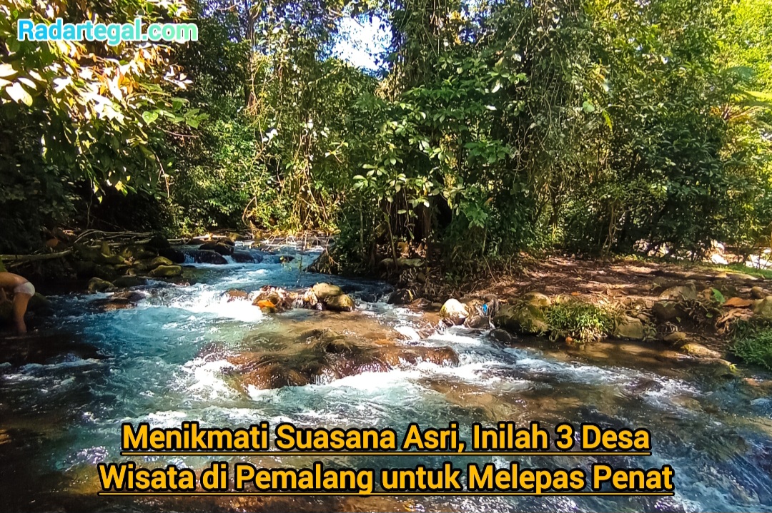 Menikmati Suasana Asri, Inilah 3 Desa Wisata di Pemalang untuk Melepas Penat