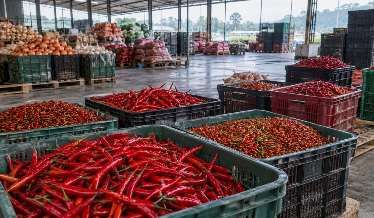 Ketika Harga Pangan Menjadi Beban bagi Masyarakat Kecil
