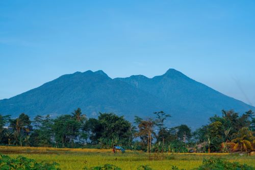 3 Tempat yang Punya Aura Mistis di Bogor, Bikin Bulu Kuduk Berdiri!