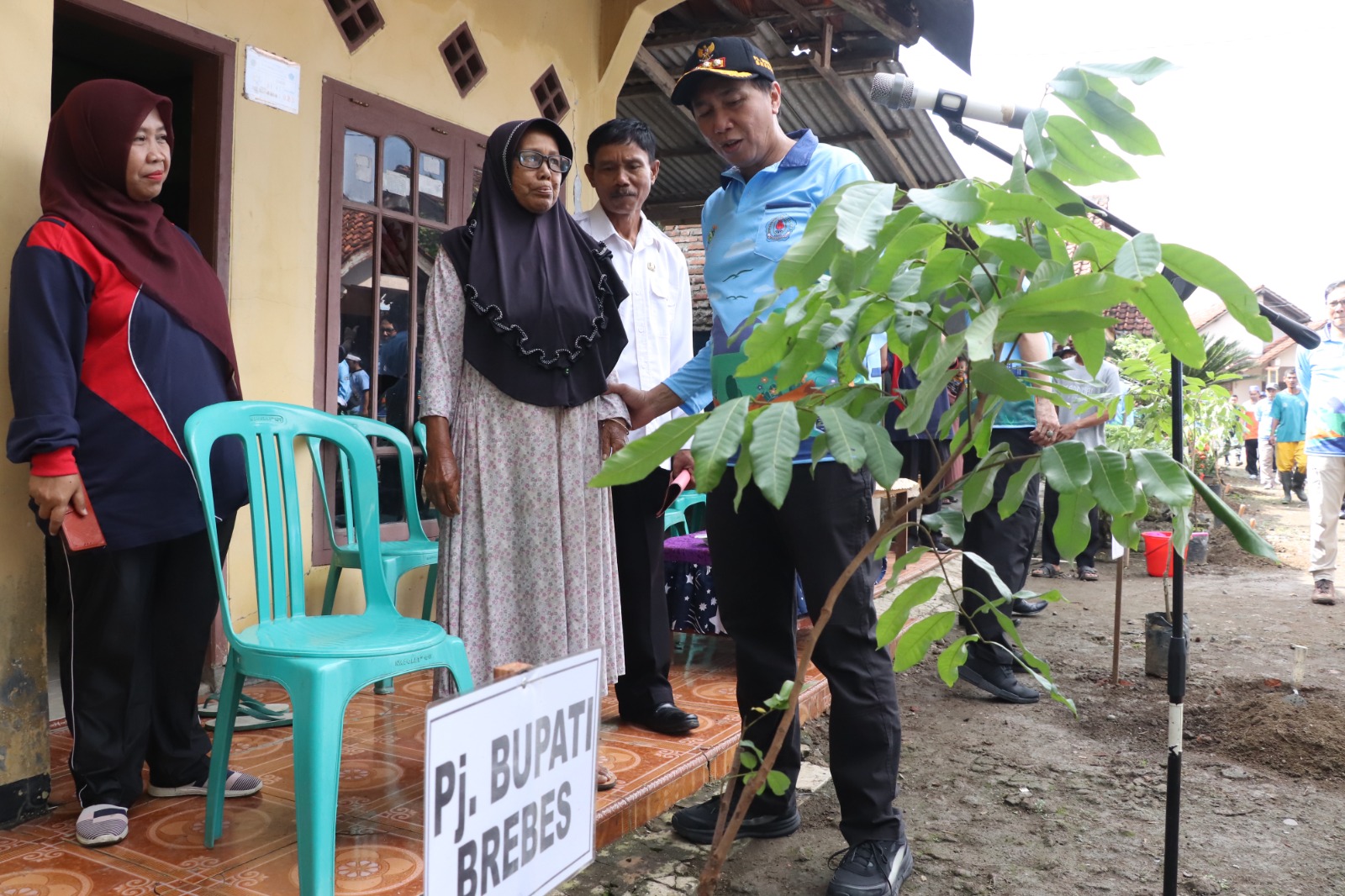 Pilih Daerah Ini, Pemkab Brebes Canangkan Desa Klaster Buah