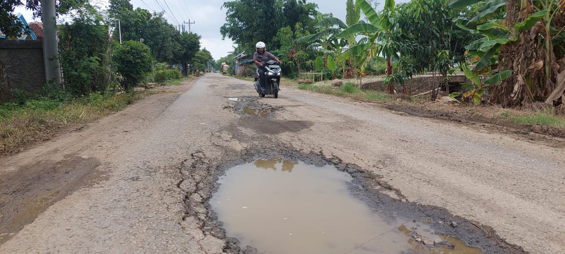 Penuh Lubang, Jalan Penghubung 2 Kecamatan di Pantura Tegal Rusak 