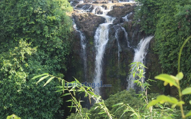 5 Wisata Air Terjun Tersembunyi di Semarang yang Punya Kisah Unik