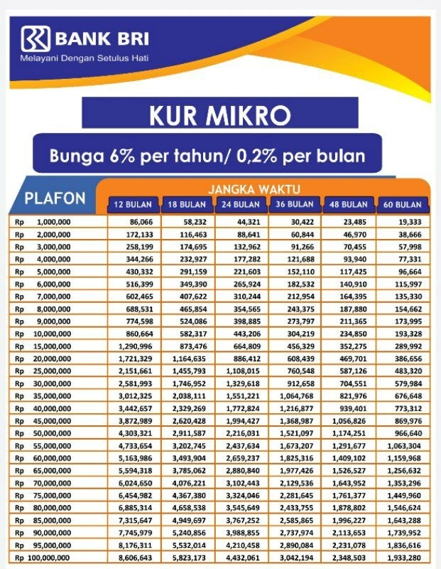 Tiga Jenis KUR BRI 2023 dengan Subsidi Bunga dari Pemerintah, Cocok untuk  Buka Usaha Tanpa Pikirkan