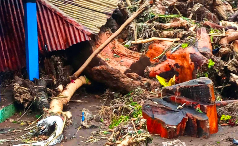 Banjir Brebes Selatan, Kayu Gelondongan Terbawa Arus Menumpuk di Desa