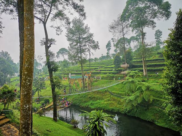 Liburan Asyik! Ini Wisata di Batang yang Ramah Keluarga, Sayang untuk Dilewatkan