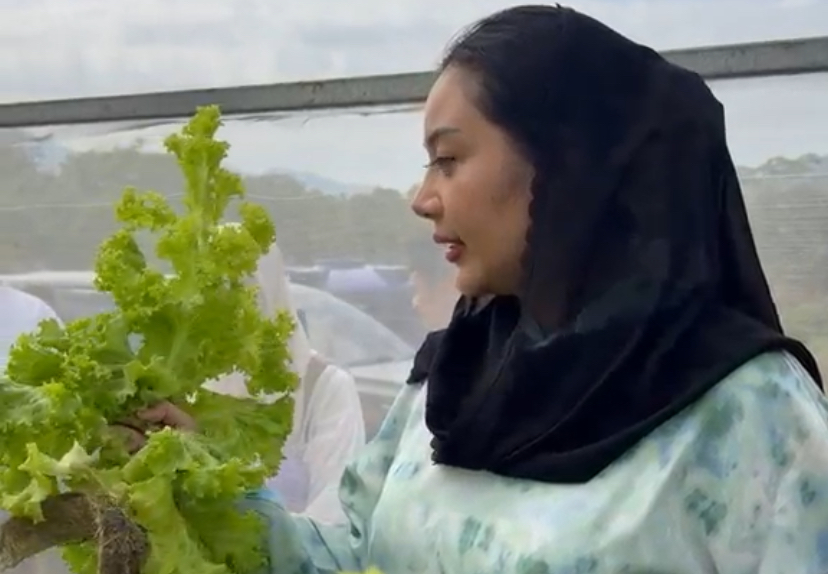 Ubah Citra Petani, Bupati Brebes Mitha Gaungkan Pertanian Modern