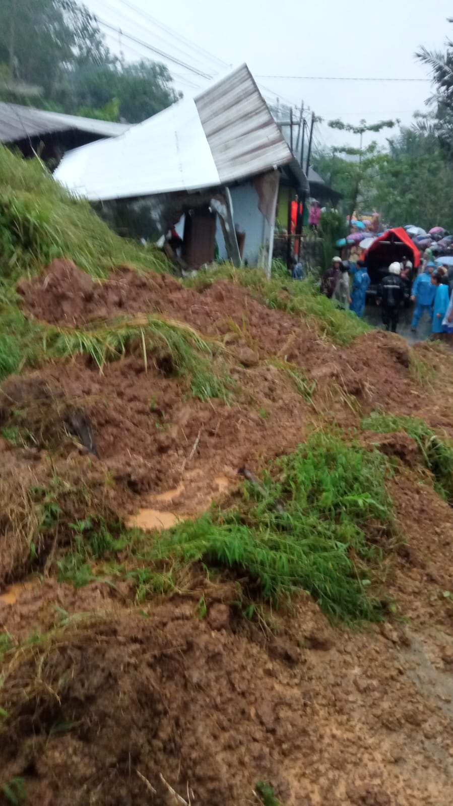 Tanah Longsor di Watukumpul Pemalang, Bocah 9 Tahun Meninggal Dunia