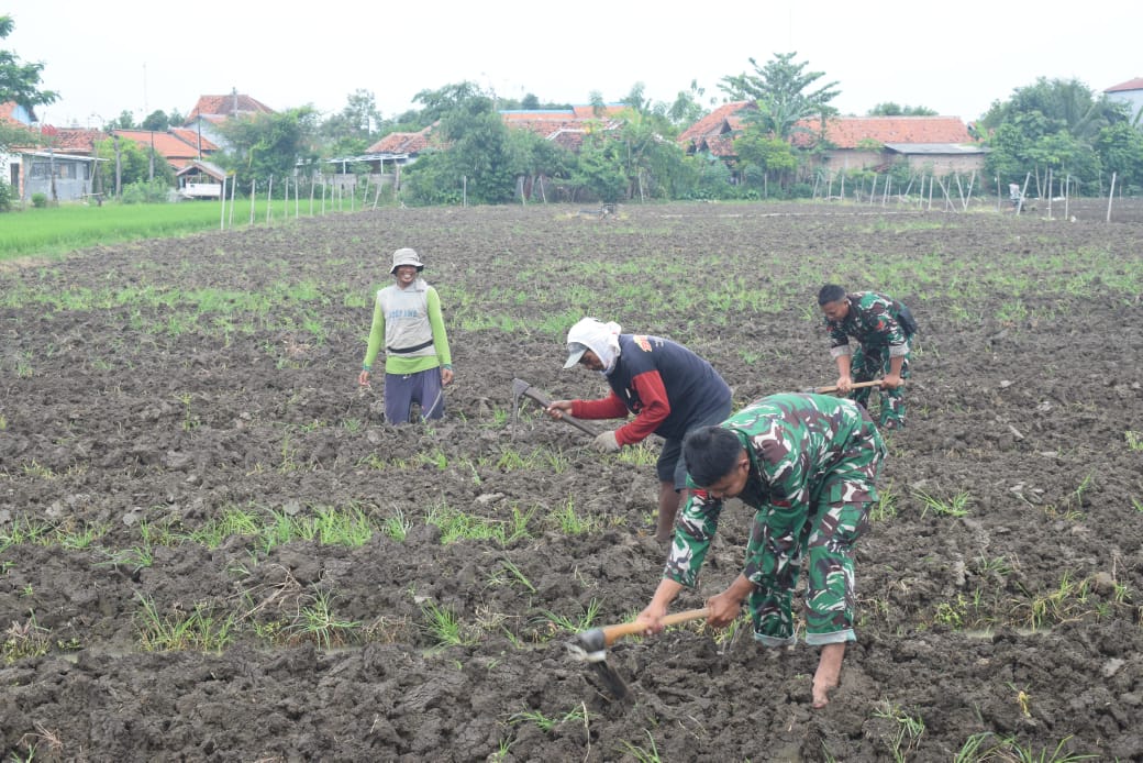 Proyek Jalan Makadam Selesai, TMMD di Kesadikan Tegal Lanjut Kegiatan Ketahanan Pangan