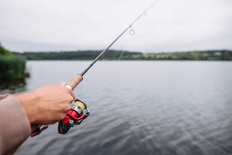 4 Spot Mancing Terbaik di Tegal dengan Suasana yang Nyaman