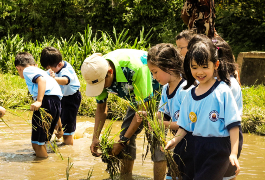 9 Tempat Wisata di Sekitar Tegal yang Cocok untuk Libur Sekolah
