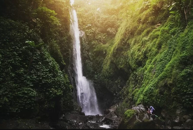 10 Wisata Alam Tegal dan Sekitarnya yang Wajib Masuk List Liburan Kamu