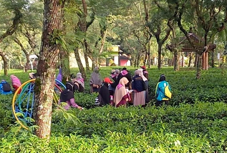 Seru Banget! Ini 6 Destinasi Study Tour SD di Pemalang yang Edukatif