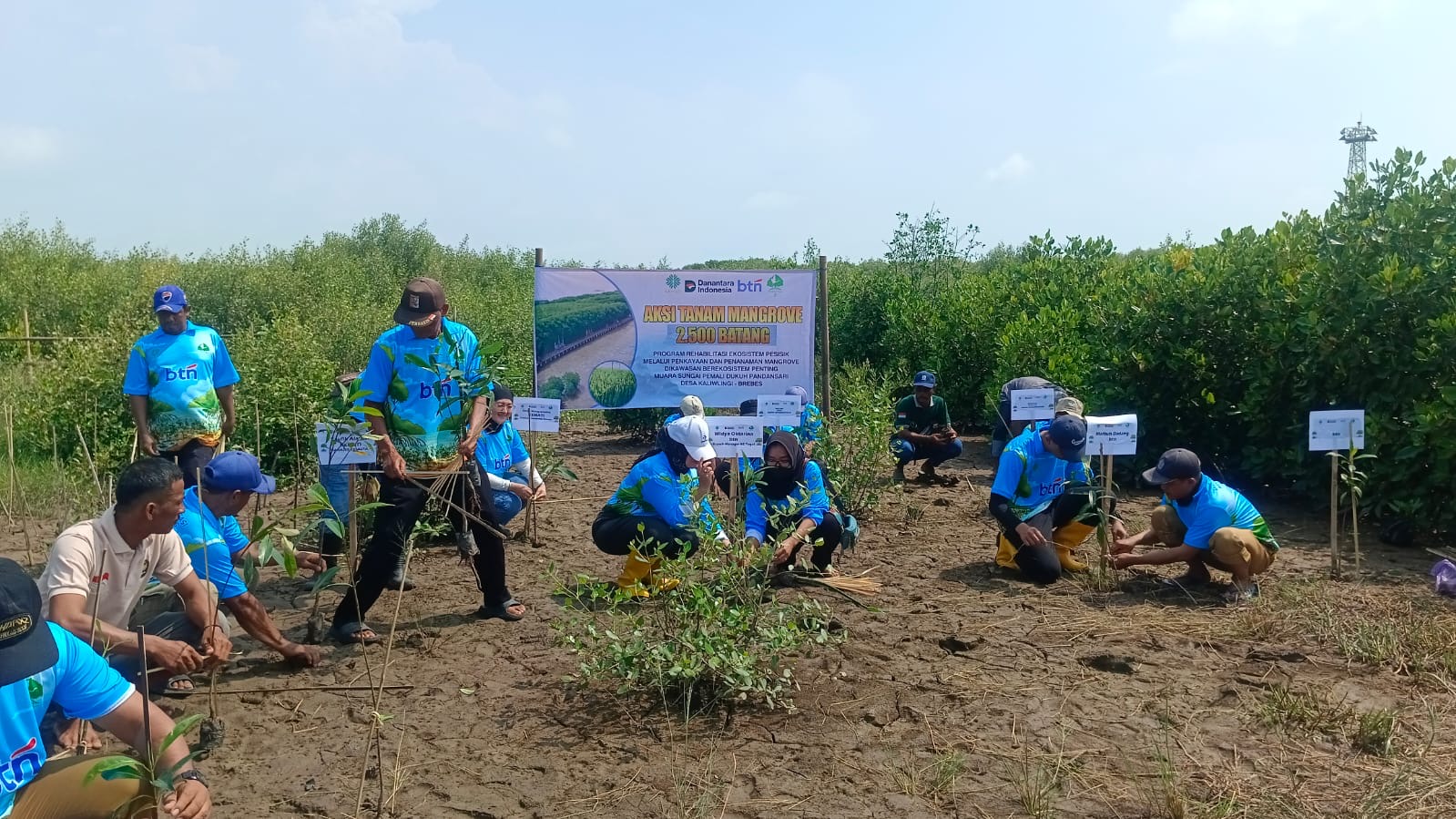 56 Persen Pesisir Brebes Tergerus Abrasi, Aktivis Lingkungan Lakukan Hal Ini