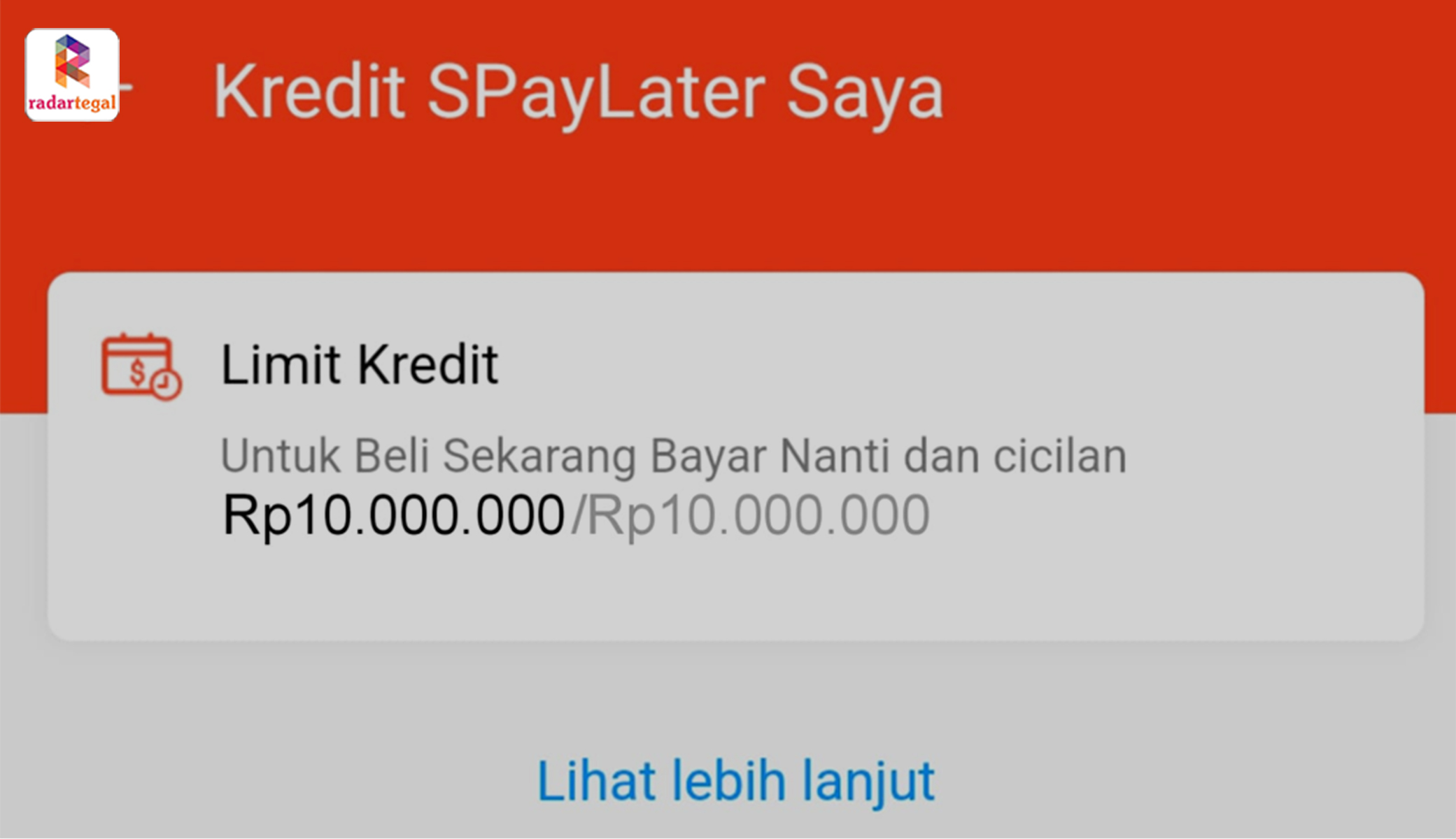 Cara Menambah Limit Paylater Shopee hingga Rp10 Juta, Belanja Online Jadi Lebih Gampang