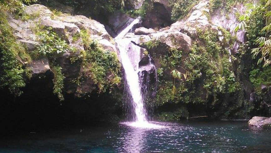 7 Rekomendasi Tempat Healing di Purwokerto yang Adem dan Bikin Betah