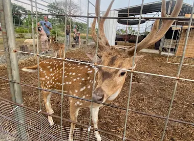 4 Kebun Binatang Mini di Tegal, Wisata Edukasi Anak yang Murah dan Seru