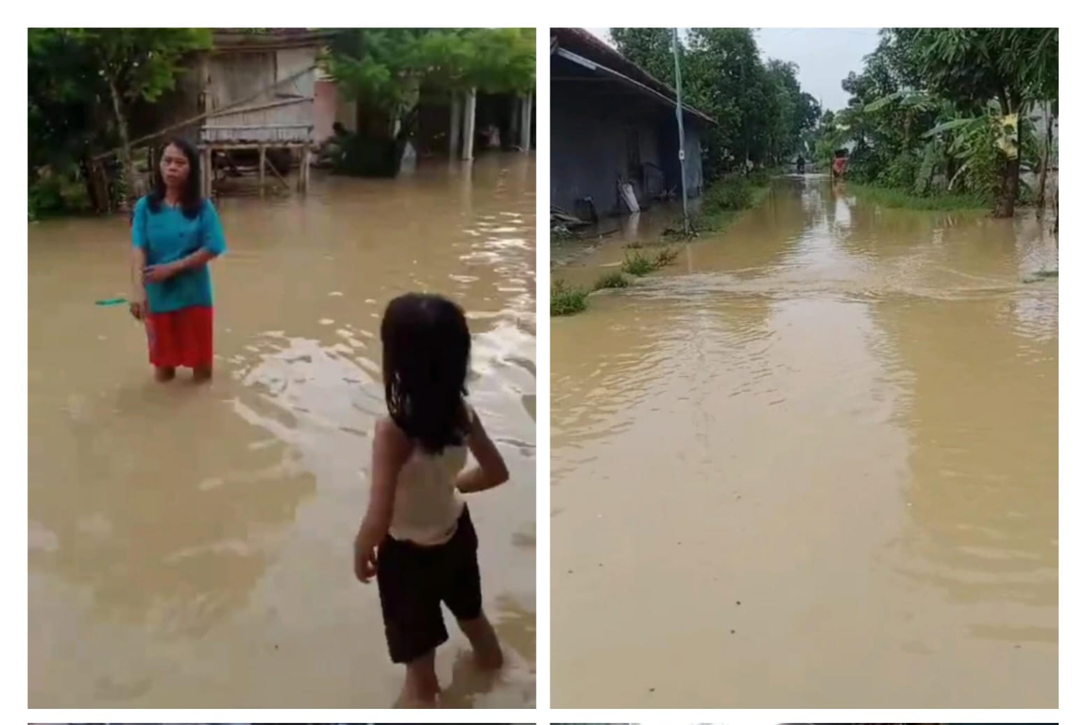 Banjir di Tegal, 2 Desa di Pantura Kecamatan Kramat Terendam Air  