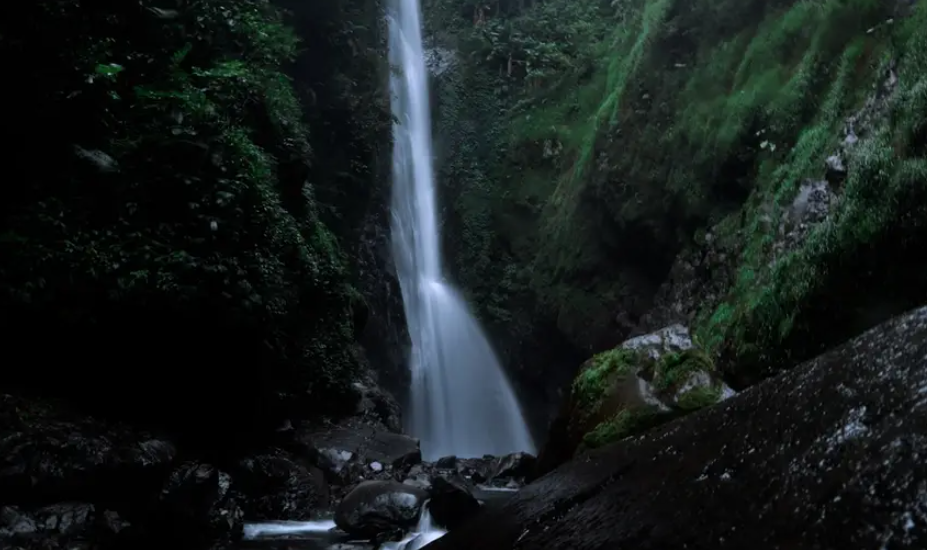 Destinasi Wisata Alam Tegal yang Viral dan Langganan Pengunjung
