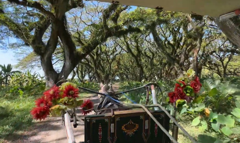 6 Hidden Gems di Banyuwangi Tak Kalah Eksotis dari Kawah Ijen