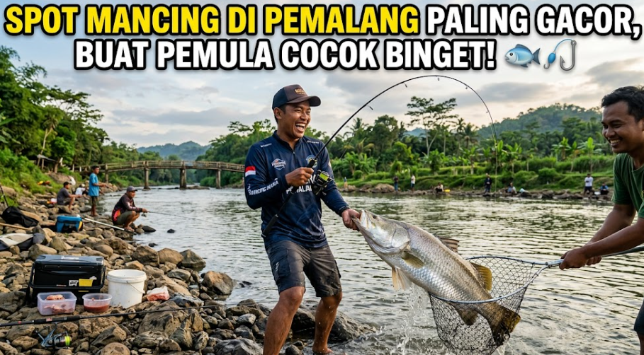 Spot Mancing di Pemalang Paling Gacor, buat Pemula Cocok Banget!