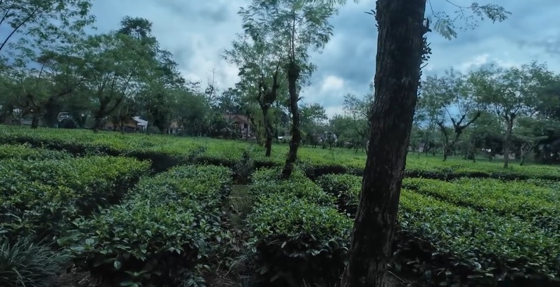 8 Wisata Alam Memukau di Pemalang Selain Curug, Bikin Penat Hilang