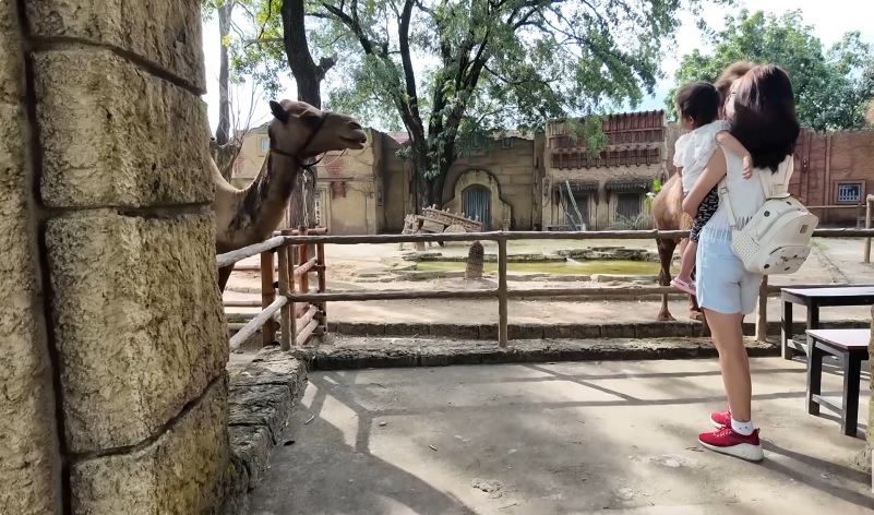 3 Wisata Keluarga Seru di Surakarta, Bikin Qtime Jadi Tak Terlupakan