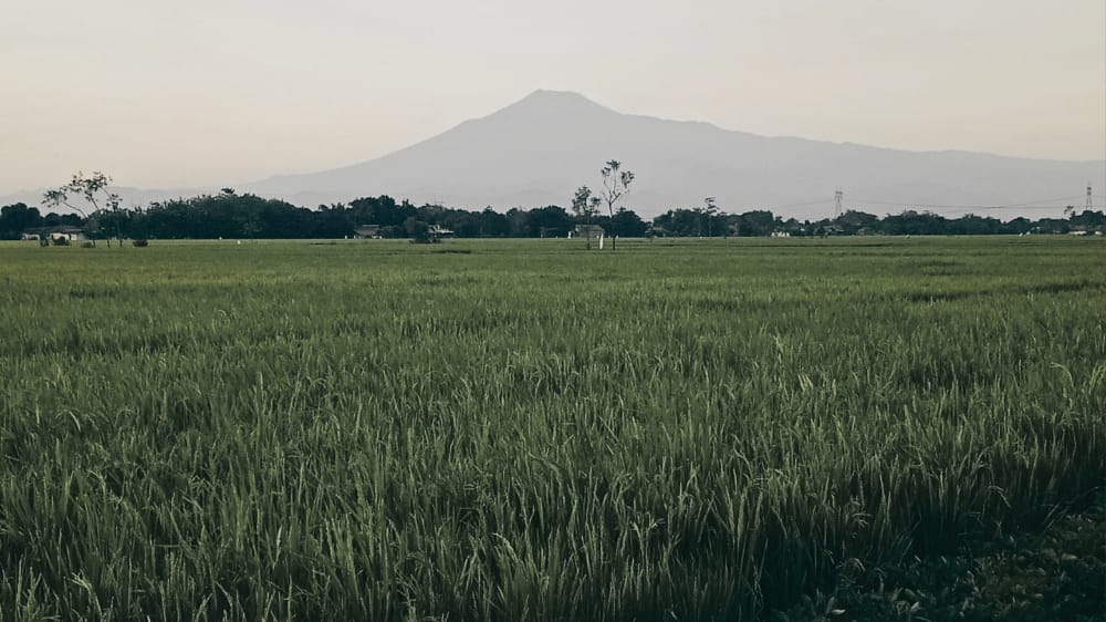 Mulai dari Kerajaan Gaib Hingga Pasar Hantu, Ini 5 Misteri Gunung Slamet 