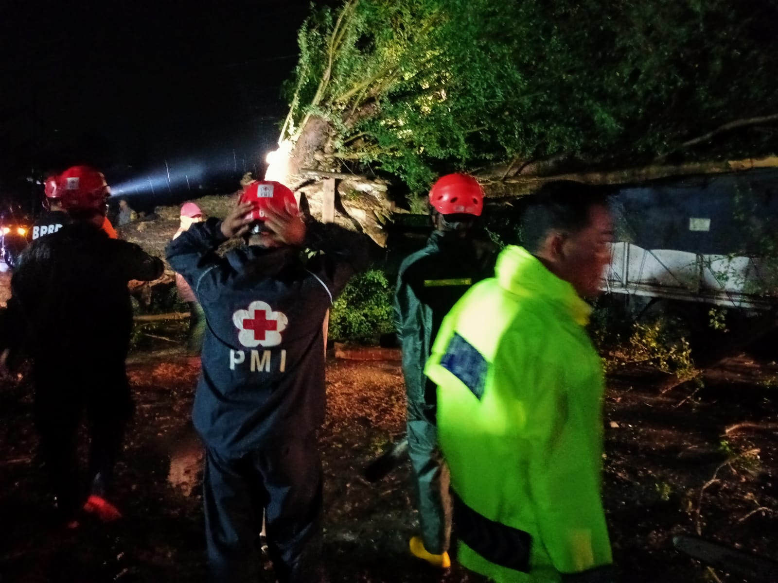 Pohon Besar di Tegal Tumbang Timpa Truk dan Motor, Satu Pengendara Luka-luka