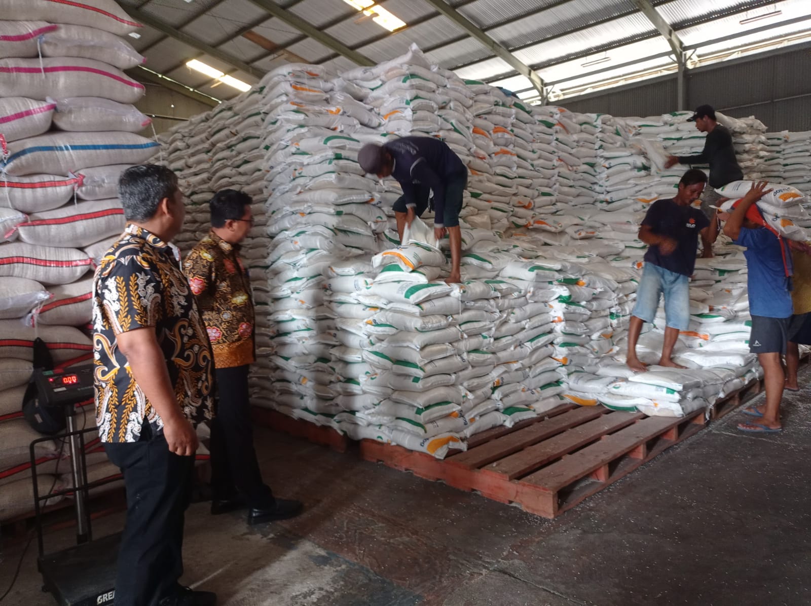 Penyerapan Capai 58 Persen, Gudang Bulog di Tegal dan Sekitarnya Full Stok Beras Produksi dalam Negeri
