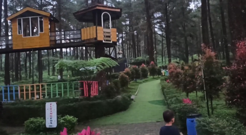 5 Wisata Alam Modern di Purwokerto dengan Nuansa yang Unik