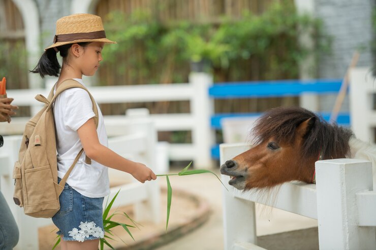 7 Wisata Edukasi di Tegal Sambil Tambah Ilmu untuk Anak sampai Dewasa