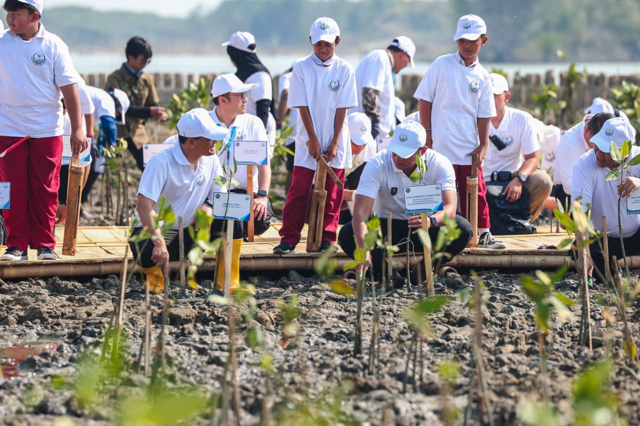 Lawan Abrasi Pantura, AHY dan Luthfi Tanam Mangrove HexBricks