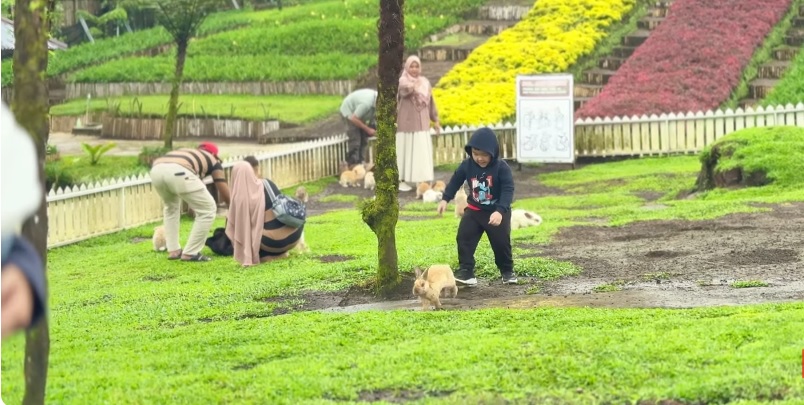 Surga Liburan Keluarga di Purbalingga dari Wisata Alam hingga Edukasi
