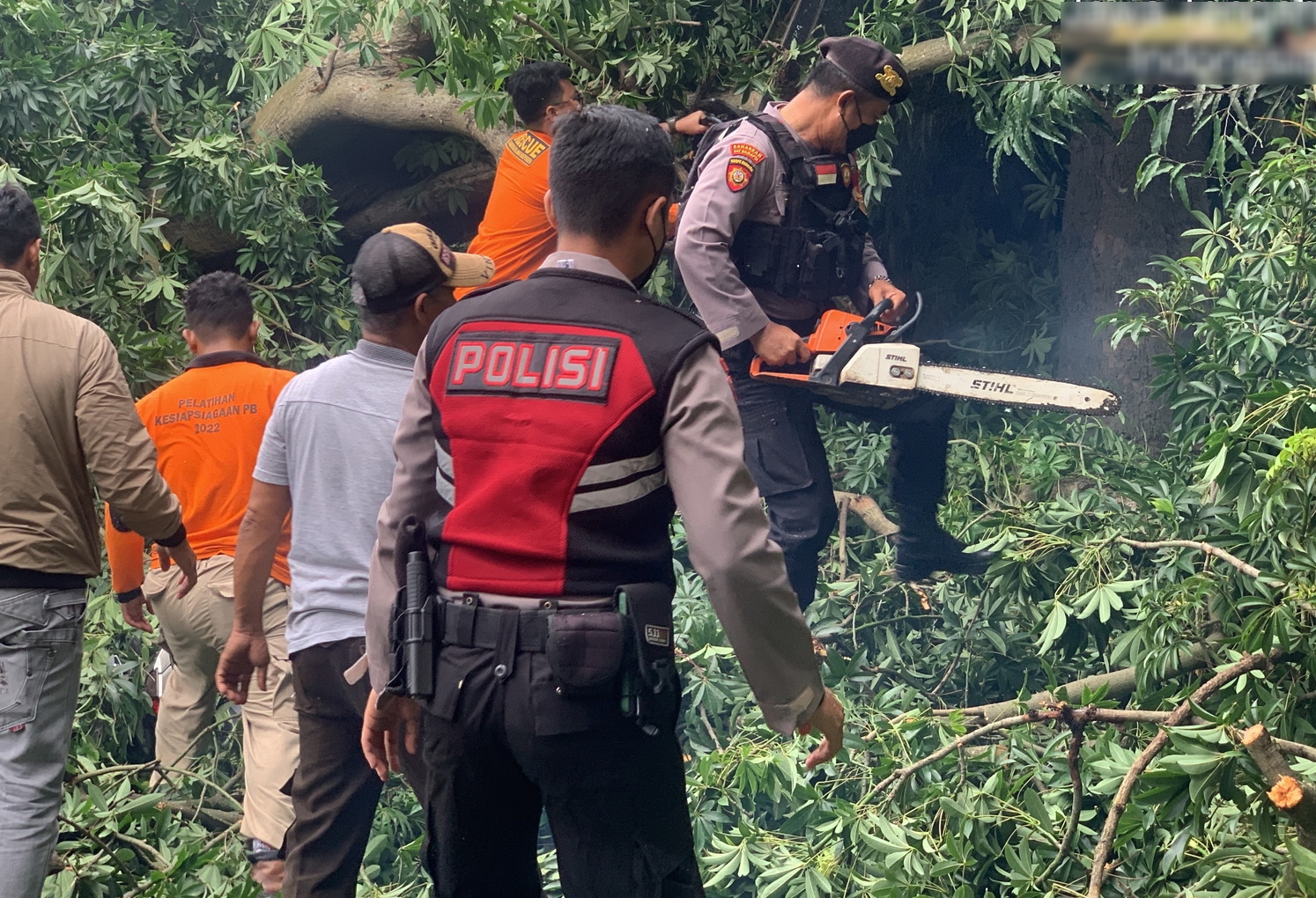 Mobil Berpenumpang 7 Orang Ringsek Tertimpa Pohon Tumbang di Jalan Raya Pangkah-Slawi