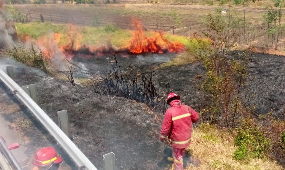 Kebakaran Lahan Dekat dengan Tol Terjadi di Brebes