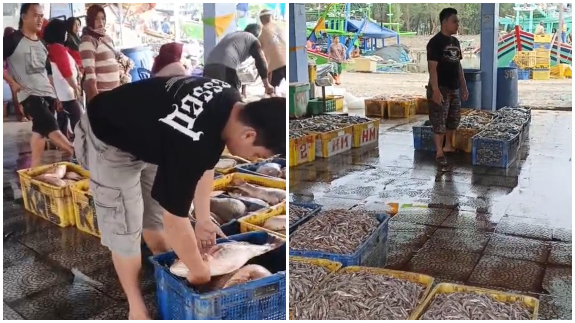 Muara Dangkal, Nelayan Pantai Larangan Tegal Menjerit Tangkapan Anjlok