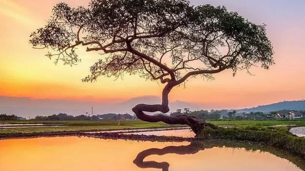 7 Wisata Alam Viral di Salatiga yang Siap Manjakan Matamu!