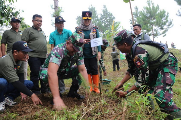Gerakan Tanam Pohon untuk Perluas Cakupan Tutupan Lahan di Kabupaten Tegal