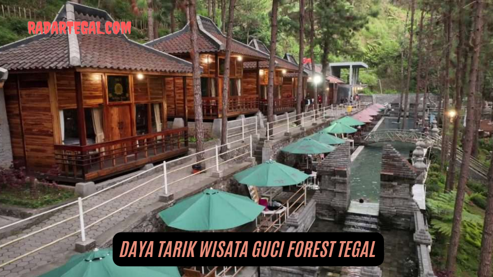 Libur Akhir Tahun, Ini Review Wisata Guci Forest Tegal Bikin Wisatawan Ngiler