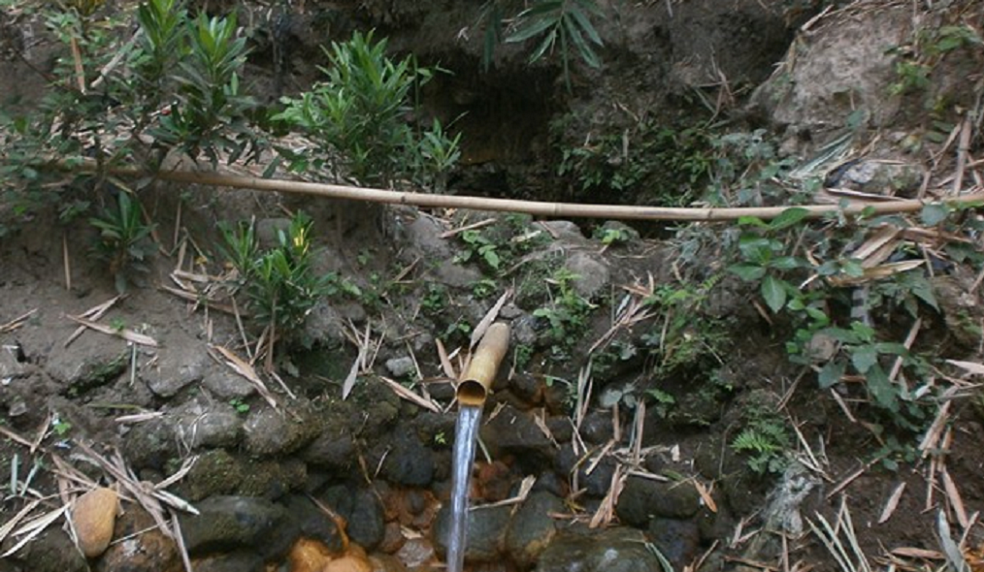 Mengungkap  Misteri Sejarah Tuk Dandang : Sumber Air Tak Pernah Surut di Kalisoka Tegal