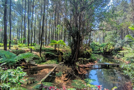 10 Wisata Menenangkan di Tegal untuk Healing, Cocok untuk Lepas Penat