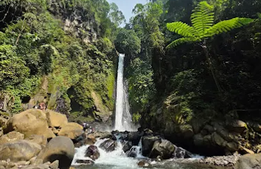 Air Terjun Genting Blado Batang, Wisata Alam Eksotis di Tengah Hutan Pinus